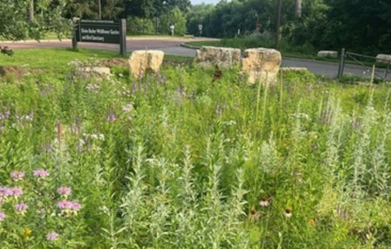 Minneapolis Park and Recreation Board Launches Summer Programs Focused on Nature Education and Conservation