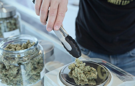Minnesota Conducts First License Lotteries for Cannabis Businesses, Eyes Growth and Social Equity