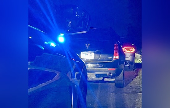 Multi-State Wanted Suspect and Nashville Man Arrested with Drugs in Mt. Juliet Traffic Stop