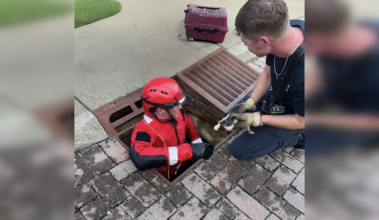 Murfreesboro Firefighter Adopts Rescued Kitten After Dramatic Storm Drain Rescue