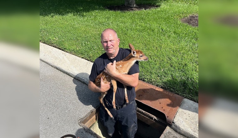 Murfreesboro Firefighters Heroically Rescue Fawn from Storm Drain Near Stones River