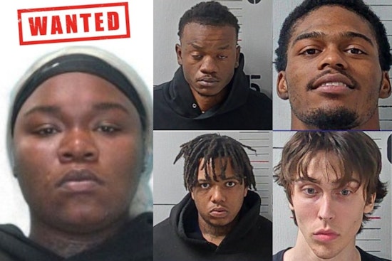 Murfreesboro Police Arrest Six in Connection with Drive-by Shootings, One Suspect Still at Large