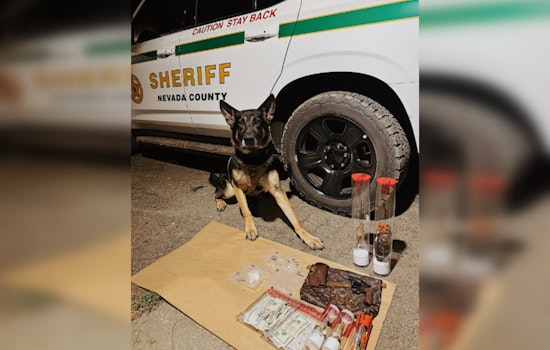 Nevada County Sheriff and Grass Valley Police Arrest Two, Seize Drugs and Firearms in Coordinated Operation