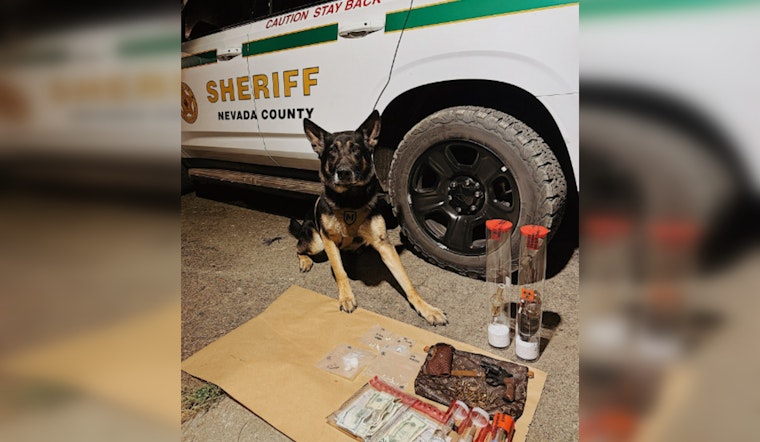 Nevada County Sheriff and Grass Valley Police Arrest Two, Seize Drugs and Firearms in Coordinated Operation