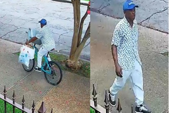 New Orleans Police Seek Help to Identify Suspect in Daytime Vehicle Burglary on Coliseum Street