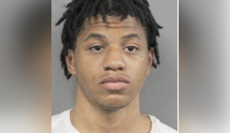 New Orleans Police Seek Person of Interest for Insights in Brunswick Court Auto Theft Case