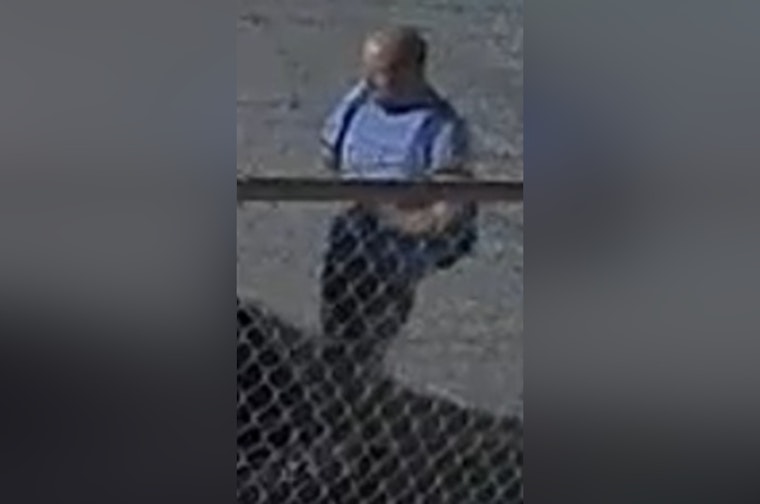 New Orleans Police Seek Public Help to Identify Suspect in South Carrollton Avenue Auto Burglary