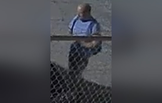 New Orleans Police Seek Public Help to Identify Suspect in South Carrollton Avenue Auto Burglary