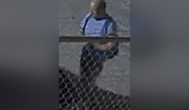 New Orleans Police Seek Public Help to Identify Suspect in South Carrollton Avenue Auto Burglary