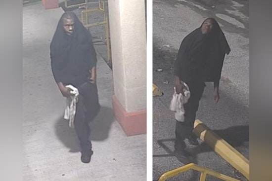 New Orleans Police Seek Public's Assistance to Identify Suspect in Lake Forest Boulevard Business Burglaries