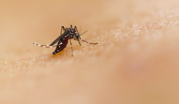 New Orleans Ramps Up Mosquito Control Efforts Amid West Nile Virus Activity