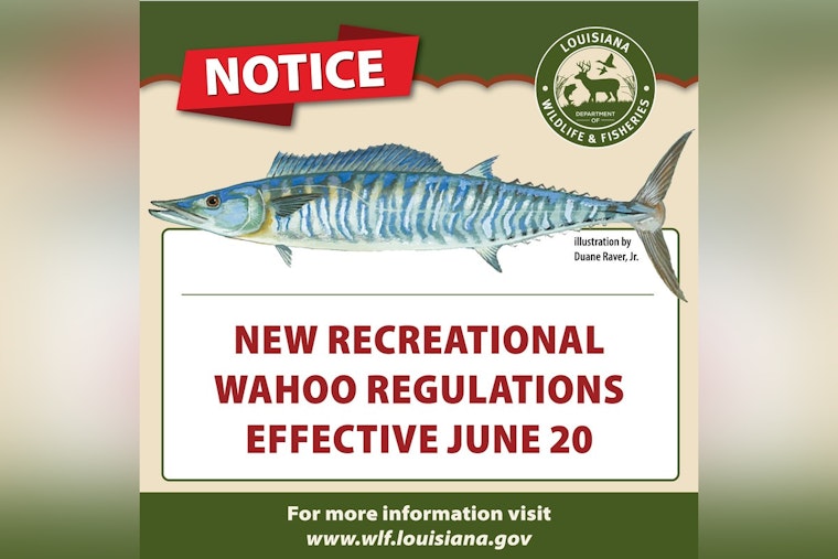 New Recreational Wahoo Fishing Limits to Take Effect in Louisiana Waters on June 20