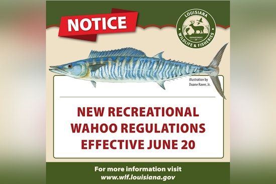 New Recreational Wahoo Fishing Limits to Take Effect in Louisiana Waters on June 20