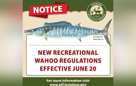 New Recreational Wahoo Fishing Limits to Take Effect in Louisiana Waters on June 20