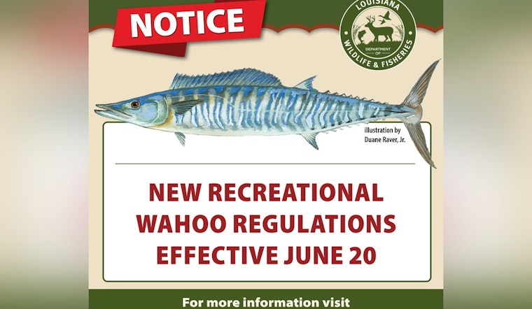 New Recreational Wahoo Fishing Limits to Take Effect in Louisiana Waters on June 20