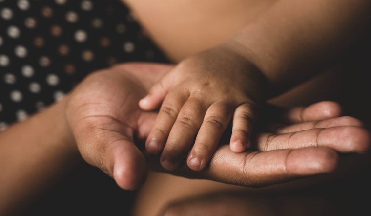 New York City's Child Welfare System Under Scrutiny for Racial Bias and Questionable AI Practices