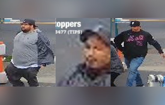 NYPD Seeks Public Help to Identify Suspects in Queens Robbery Assault