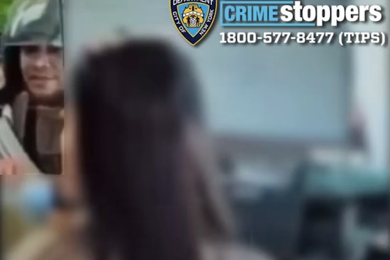 NYPD Seeks Public's Help to Identify Suspect in Brooklyn Grand Larceny Cases