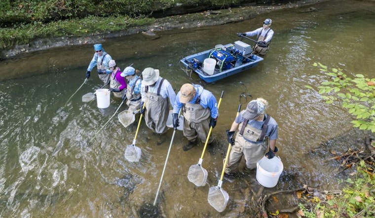 Oak Ridge National Laboratory's BMAP Celebrates 40 Years of Pioneering Environmental Stewardship