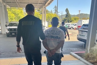 Oakland Man Faces 12 Felony Charges in Marin County Library Nintendo Switch Game Thefts