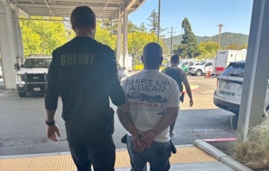 Oakland Man Faces 12 Felony Charges in Marin County Library Nintendo Switch Game Thefts