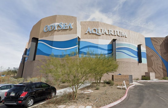 OdySea Aquarium in Scottsdale Launches Immersive High-Tech Undersea Journey for Visitors