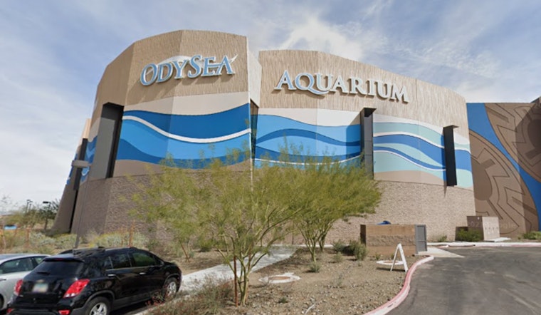 OdySea Aquarium in Scottsdale Launches Immersive High-Tech Undersea Journey for Visitors
