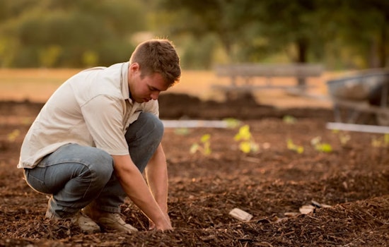 Ohio Farmers Face Planting Delays Amid Wet Conditions, Ohio State University Offers Support and Guidance