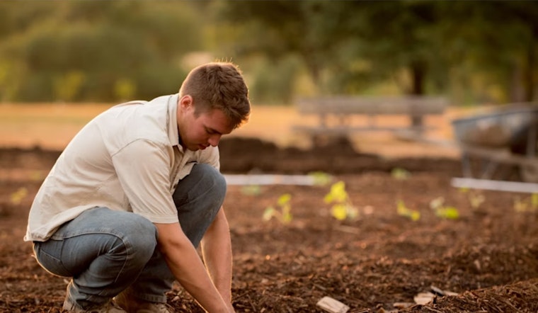 Ohio Farmers Face Planting Delays Amid Wet Conditions, Ohio State University Offers Support and Guidance