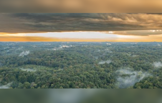 Ohio State Forests Introduce Online Reservation System for Campers at Hocking and Mohican-Memorial