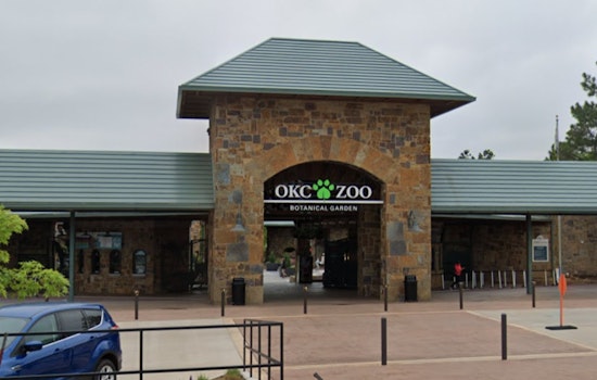 Oklahoma City Zoo and Local Businesses Celebrate Thunder's NBA Victory with Free Admissions and Treats