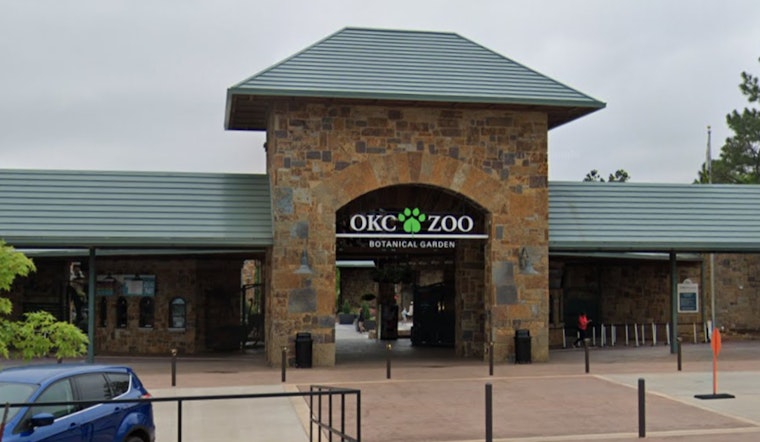 Oklahoma City Zoo and Local Businesses Celebrate Thunder's NBA Victory with Free Admissions and Treats