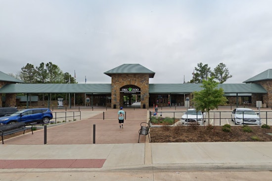 Oklahoma City Zoo Mourns Loss of Beloved Grizzly Bear Will Following Euthanasia Due to Spinal Disease