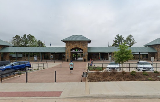 Oklahoma City Zoo Mourns Loss of Beloved Grizzly Bear Will Following Euthanasia Due to Spinal Disease