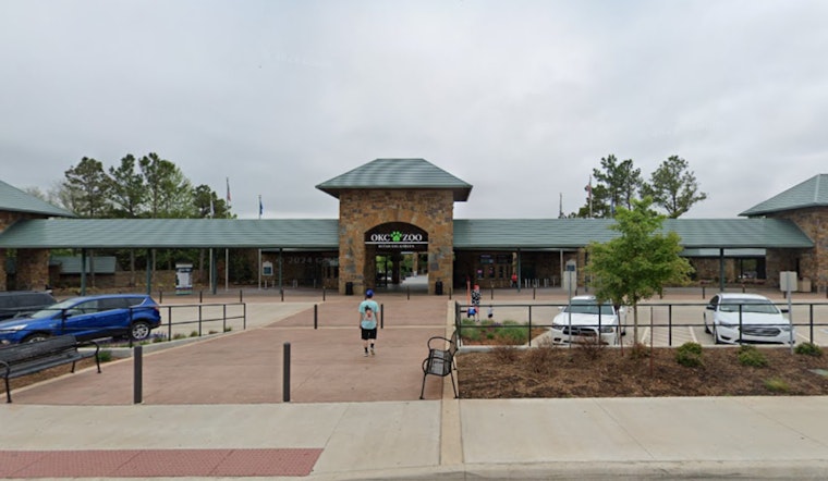 Oklahoma City Zoo Mourns Loss of Beloved Grizzly Bear Will Following Euthanasia Due to Spinal Disease