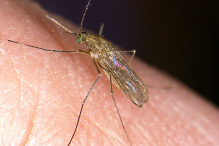 Oklahoma County Reports First West Nile Virus Cases of the Season as Health Officials Urge Prevention Measures