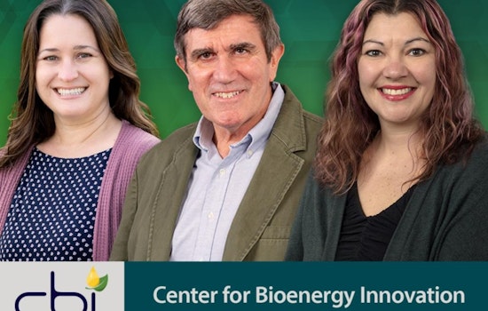 ORNL's Center for Bioenergy Innovation Appoints New Chief Science Officers to Spearhead Biomass Research