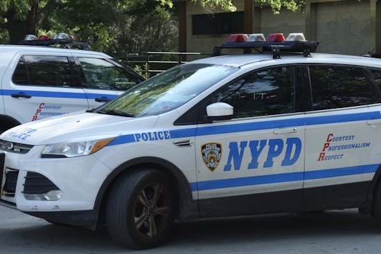 Over 20 Detained as Anti-ICE Protesters and NYPD Clash in Lower Manhattan
