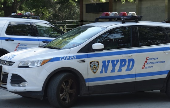 Over 20 Detained as Anti-ICE Protesters and NYPD Clash in Lower Manhattan