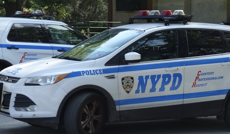 Over 20 Detained as Anti-ICE Protesters and NYPD Clash in Lower Manhattan