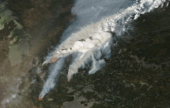 Over 200 Washington Firefighters Dispatched to Aid Canadian Wildfire Efforts in Alberta and Saskatchewan
