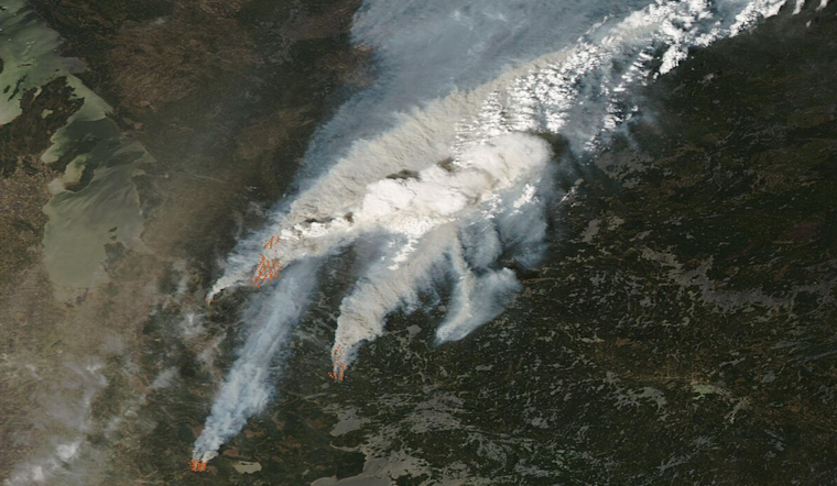 Over 200 Washington Firefighters Dispatched to Aid Canadian Wildfire Efforts in Alberta and Saskatchewan