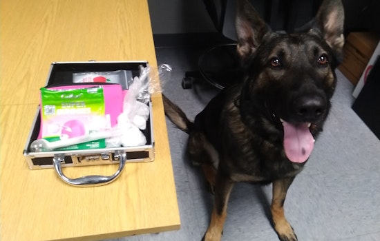 Ozaukee County Deputies Seize 80+ Grams of Meth, Make Felony Arrests Following Traffic Stop
