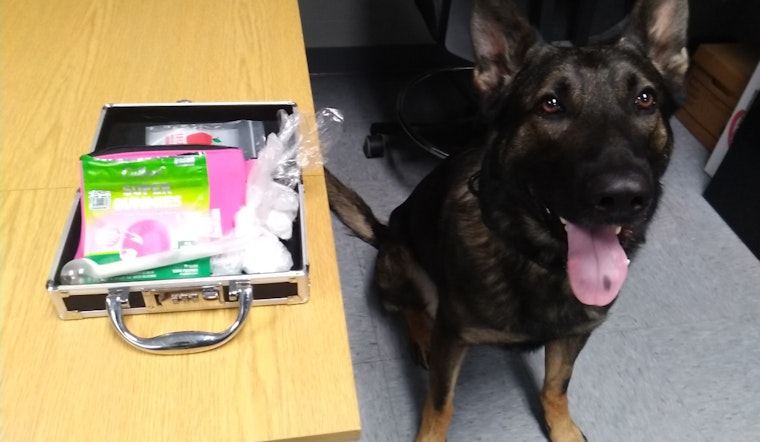 Ozaukee County Deputies Seize 80+ Grams of Meth, Make Felony Arrests Following Traffic Stop