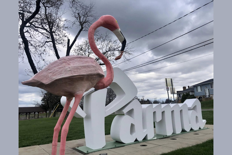 Parma Community Mourns as Another Cherished Flamingo Statue is Stolen from Quarry District