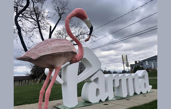Parma Community Mourns as Another Cherished Flamingo Statue is Stolen from Quarry District