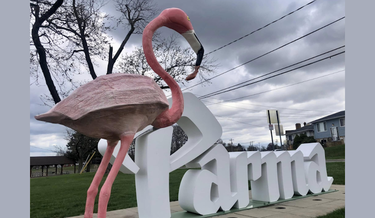 Parma Community Mourns as Another Cherished Flamingo Statue is Stolen from Quarry District