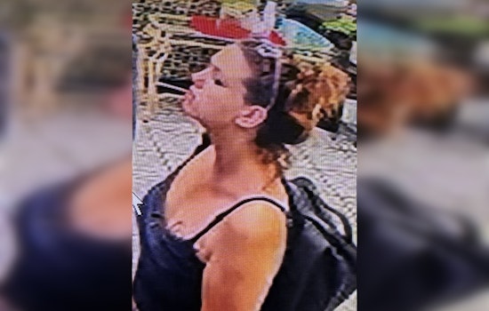Pasco Sheriff's Office Seeks Public's Help to Find Missing Sydney Hamilton Last Seen in Port Richey