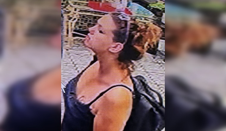 Pasco Sheriff's Office Seeks Public's Help to Find Missing Sydney Hamilton Last Seen in Port Richey