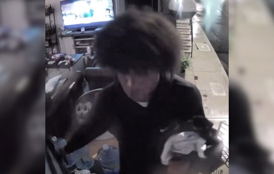 Philadelphia Police Seek Suspect in Burglary Involving Stolen Jewelry and Firearm in 17th District